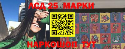 стаф Камышлов