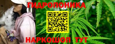 стаф Камышлов