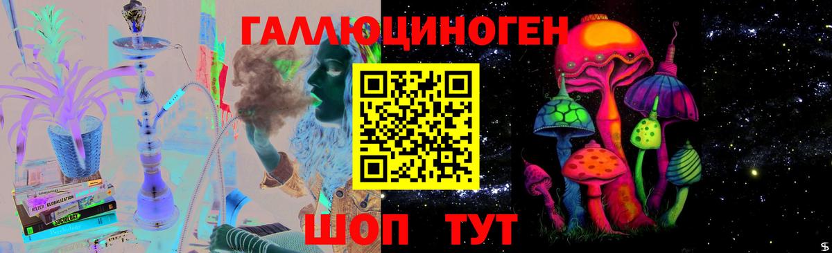 Евпатория  Псилоцибиновые грибы Magic Shrooms  Вход с VPN  Галлюциногенные грибы Psilocybine cubensis 